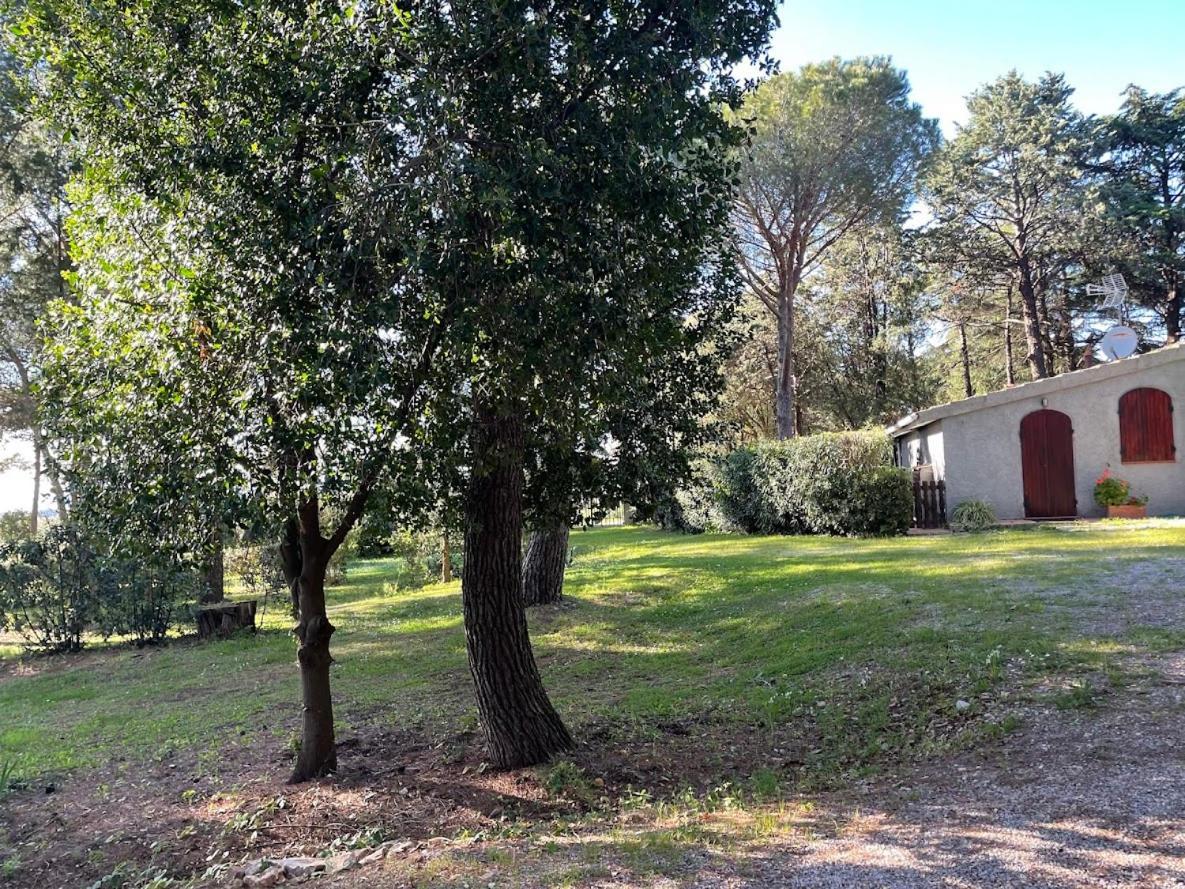 Agriturismo Podere Campalto カンピーリア・マリッティマ エクステリア 写真