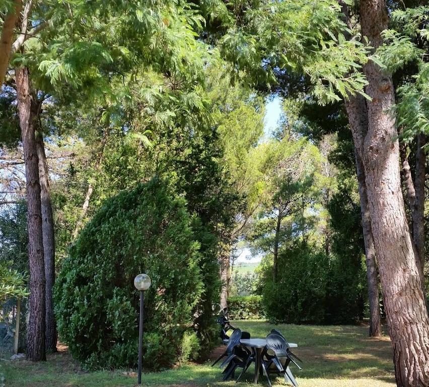 Agriturismo Podere Campalto カンピーリア・マリッティマ エクステリア 写真