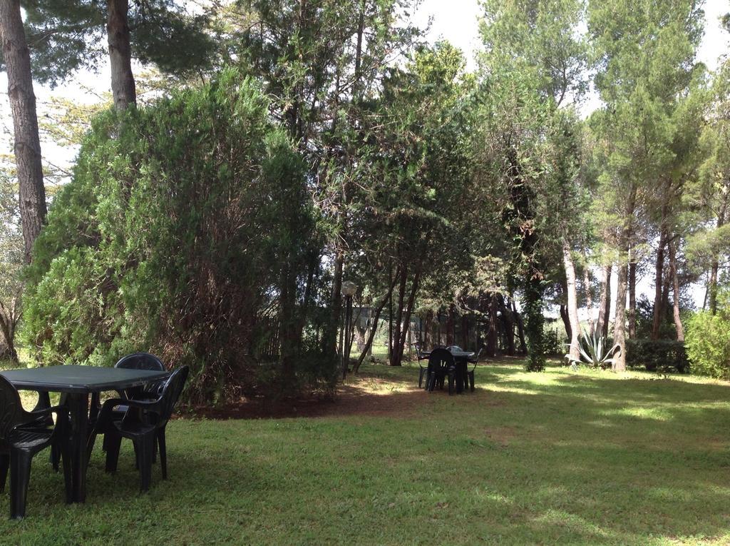 Agriturismo Podere Campalto カンピーリア・マリッティマ エクステリア 写真