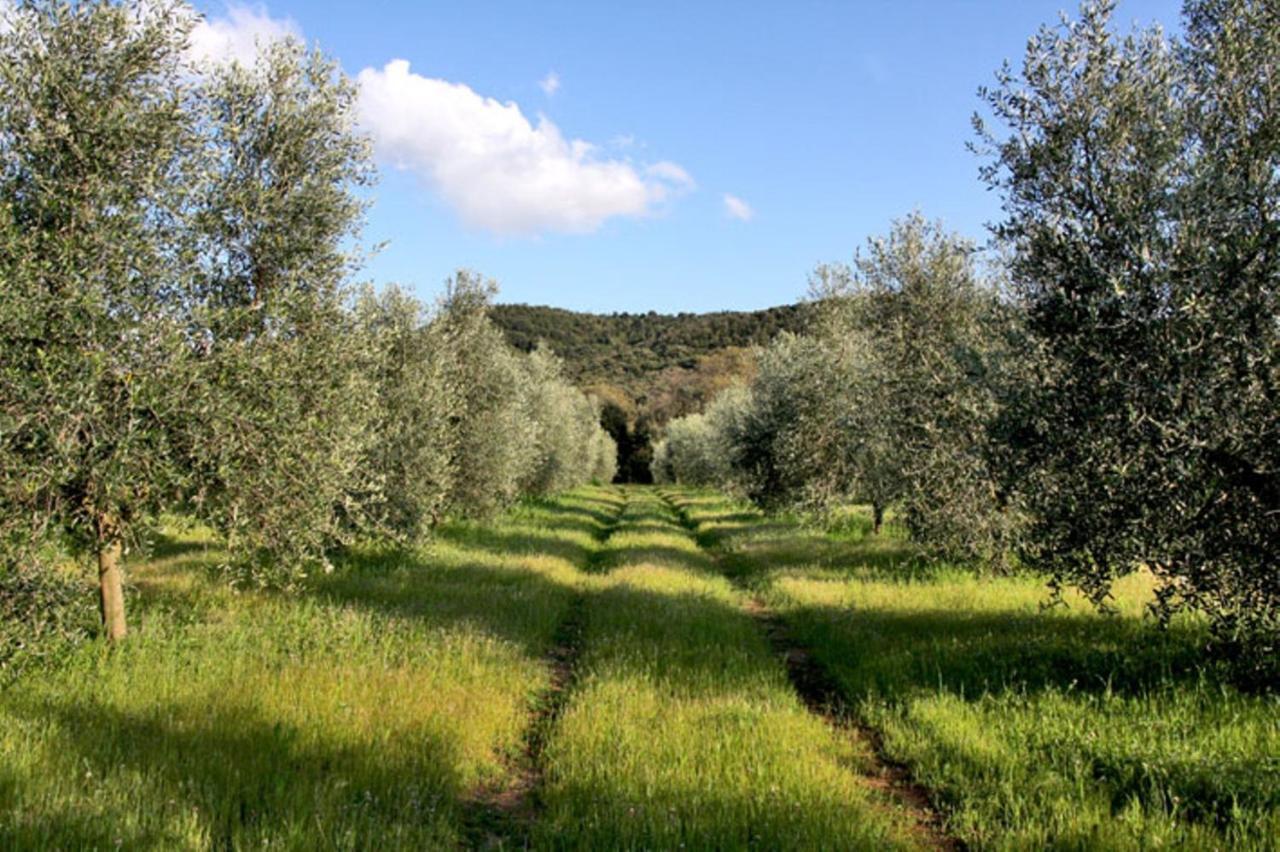 Agriturismo Podere Campalto カンピーリア・マリッティマ 部屋 写真