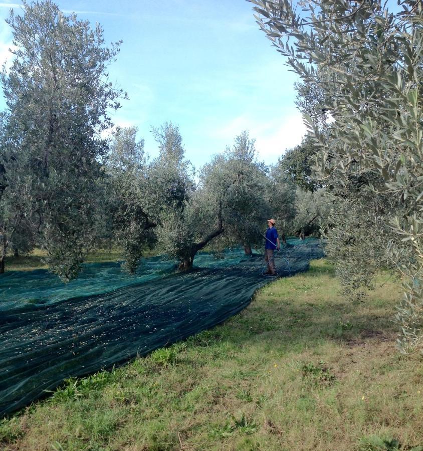 Agriturismo Podere Campalto カンピーリア・マリッティマ エクステリア 写真