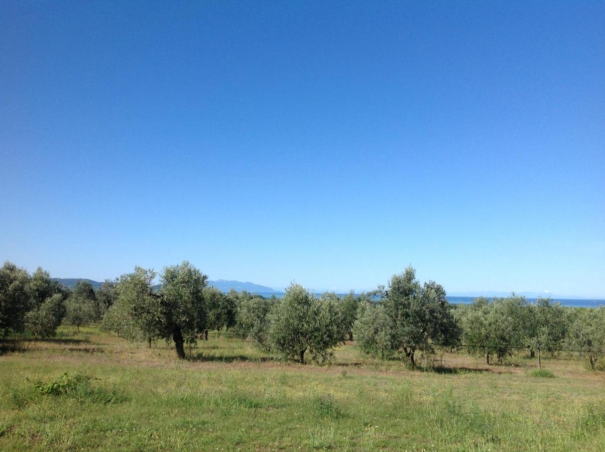 Agriturismo Podere Campalto カンピーリア・マリッティマ エクステリア 写真