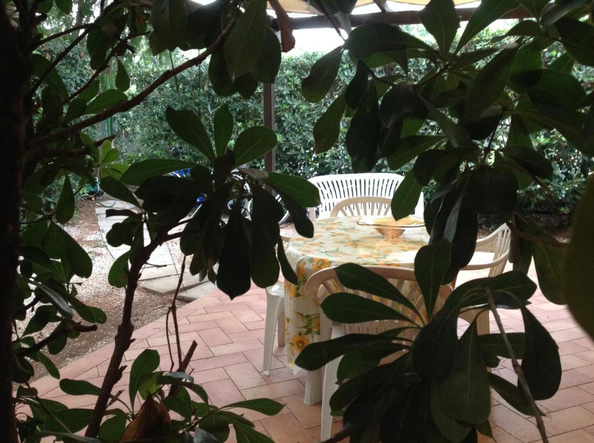 Agriturismo Podere Campalto カンピーリア・マリッティマ エクステリア 写真